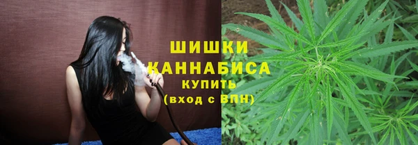 соль ск Вяземский