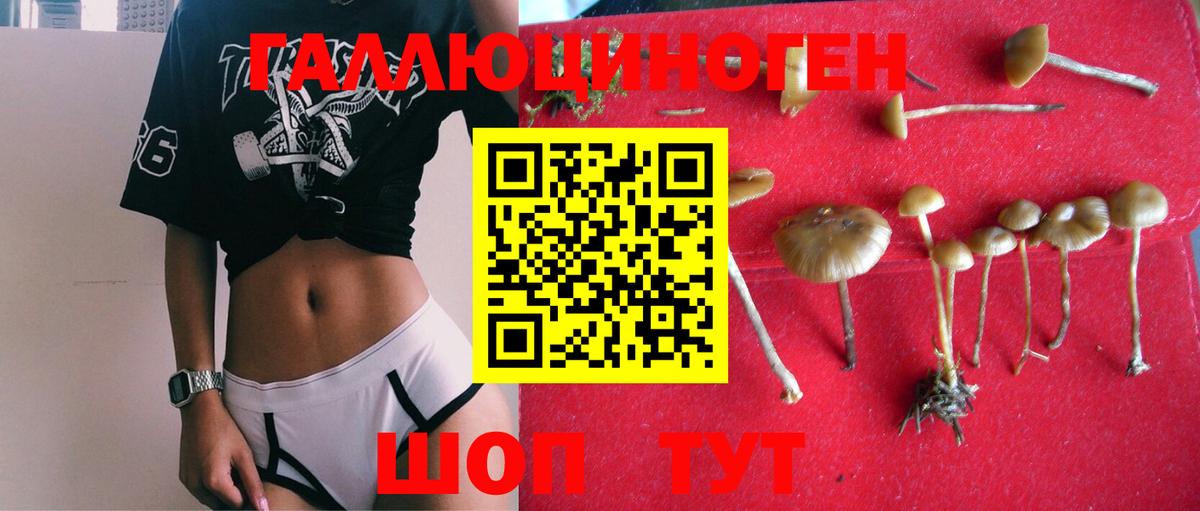 Галлюциногенные грибы MAGIC MUSHROOMS  Вход с VPN  Минеральные Воды 