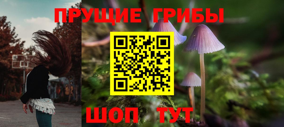 Псилоцибиновые грибы Magic Shrooms Минеральные Воды